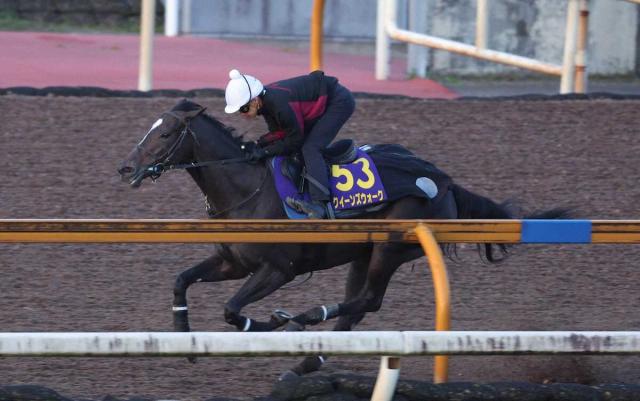 ŷľޡۥ󥺥αƶϤʤ饹1F113ֽĴʻž夬