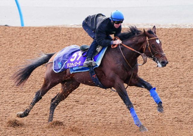 ŷľޡϷ5ϡ10ǯǺ¿5