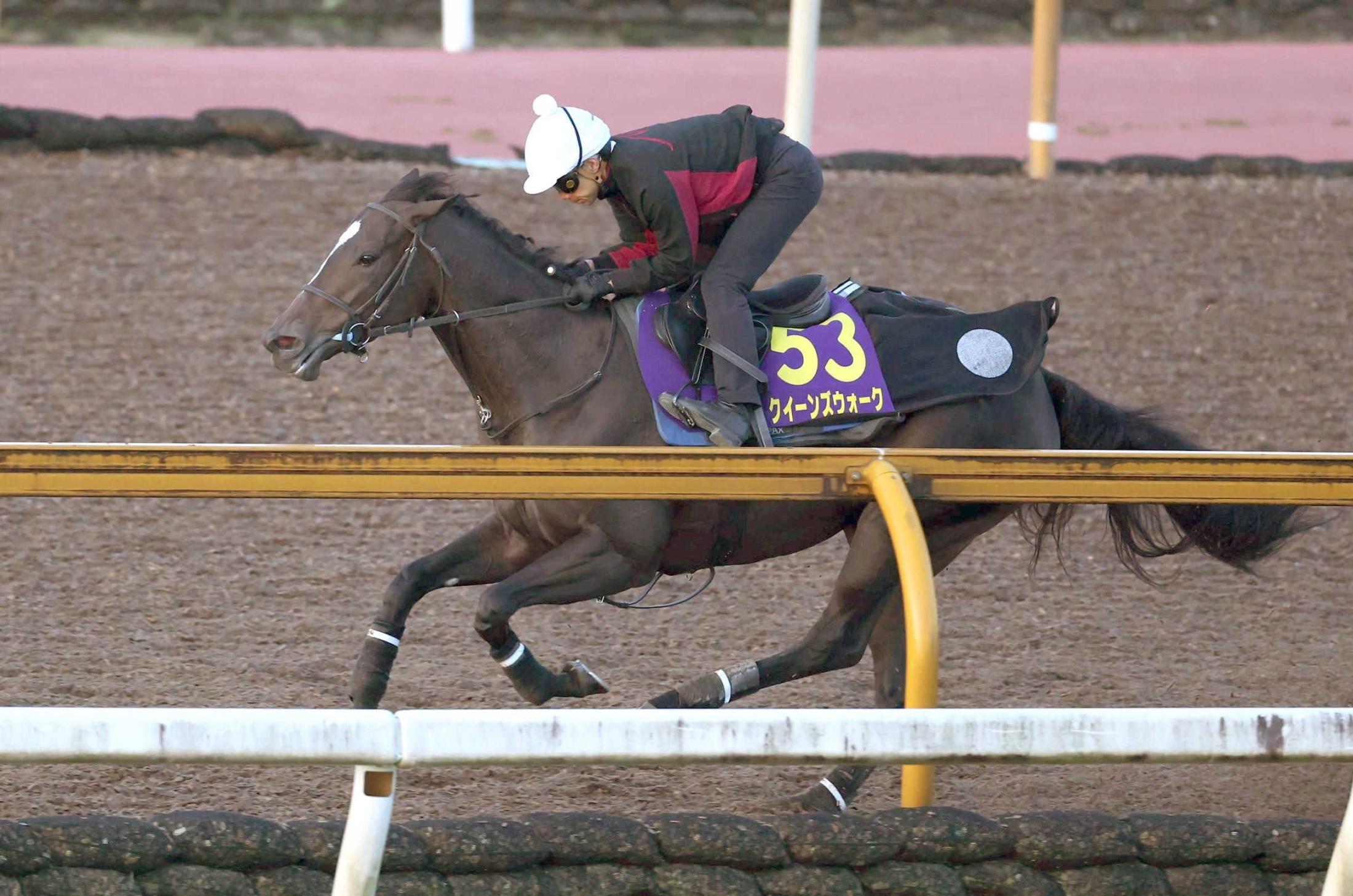 ŷľޡۥ󥺥ĴϥǥȤǶʡʽ夤ƥ졼פ뤫