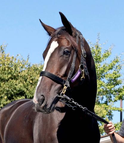 ưۥϥ˥åϥꥶ٥դȤ鷺ҤءͧƻĴա̵򤹤ϤǤʤ