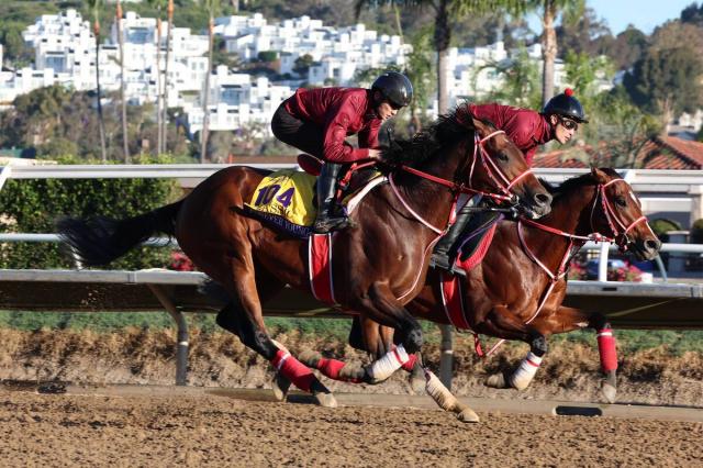 BC饷åۥեС󥰤ؤ˴ϽäפκǽɤڤꡡĴդΥå?