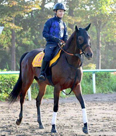 ưۿӤG1å!T7奢ɥޥޥĥϺȥꥶ٥դ