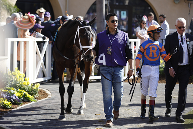 【米・BCクラシック】T.プレッチャー厩舎の“三銃士” 歴史的好メンバーの一戦に挑む