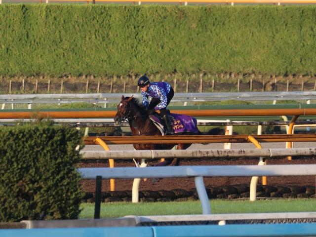 ɥޥ䥺ࡢޥCSɤڤ®/ȥ쥻˥塼