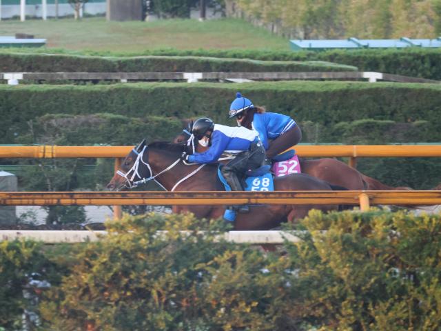 奦祯ԥʤɡJBCǽɤڤ®/ȥ쥻˥塼