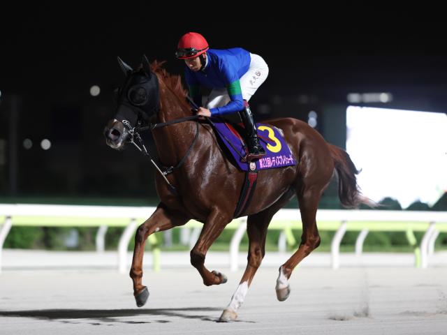 【船橋・JBCレディスC注目馬】秋の女王を目指す 主役の座を射止めるのは？