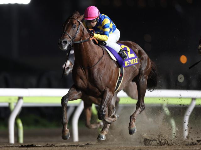 【船橋・JBCスプリント注目馬】電光石火の5ハロン戦 スピード自慢が船橋に集結