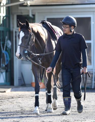 JRAȯɽ̵2ϢǥƥߥSեƥեˤϱ秱