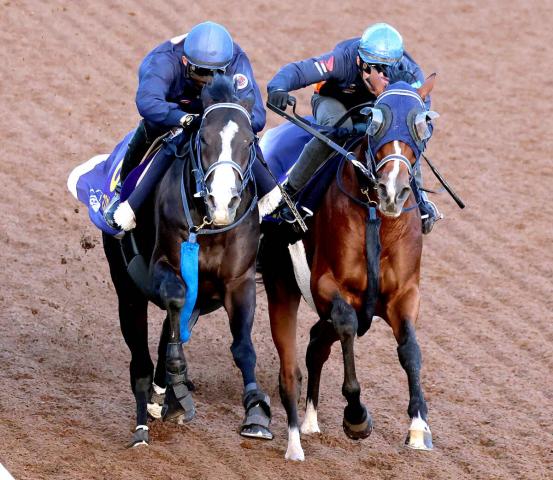 イクイノックス セレクトセール2025】イクイノックスの初年度産駒が歴代3位タイ5