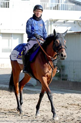 ŷľޡۥ֥쥤ǥ乥Ȥ46֡ĴաֿζϴäƤȤ