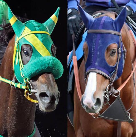 JBC饷å벦VΥߥåեȡϢƤ륽ƥɤڤǿرĤμ?