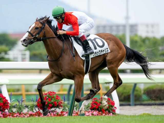 ڥե󥿥Sϡۥ֥åꥹӵꡢեƥХҥC.ǥࡼʤ12Ƭ