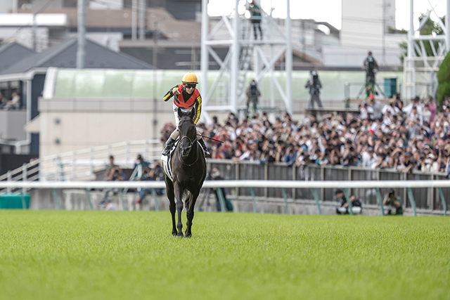 香港国際競走の予備登録馬が発表 クロワデュノールが2レースにエントリー
