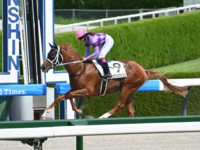 【POG】BCでもうけた分はジュウリョクピエロから買う/馬三郎のつぶやき