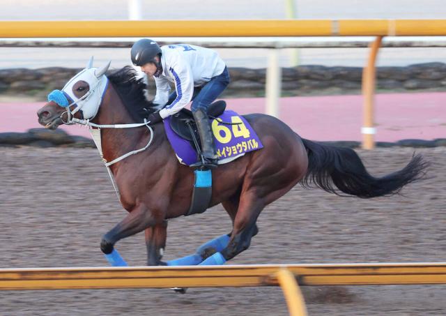 ŷľޡۥᥤ祦ХرĤϳ13Ȥ򴿷ޡ֤ȤäȻפޤ