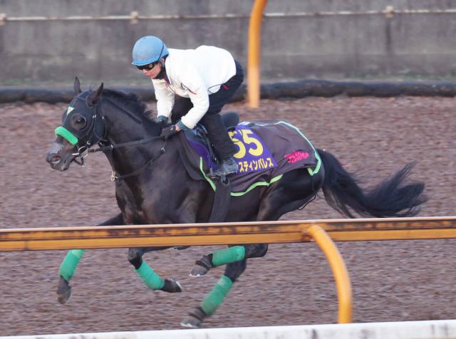 ŷľޡ֥ۡʤΤǤ׿رĴԤΥ㥹ƥѥ쥹33֡2ǯ24