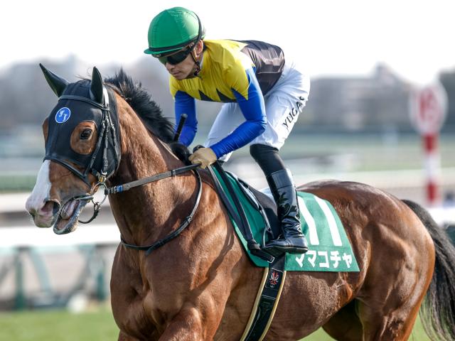 【有力馬動向】ママコチャ豪快な走りでダートに不安なし/馬三郎のつぶやき