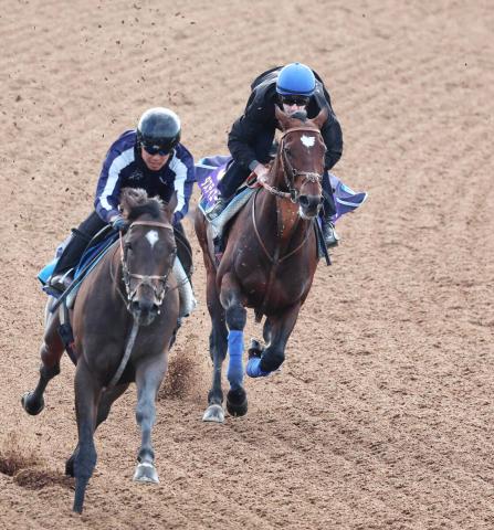 ŷľޡͻۥƥ϶Ϥ䤹5ȡʤΤϡǥ