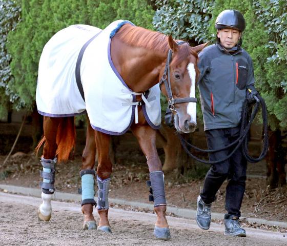 【天皇賞・秋】アーバンシック2番枠は吉兆!?　騎乗するプーシャン騎手の反応は?