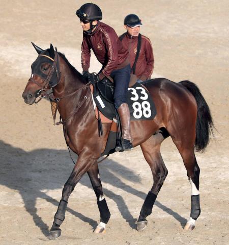 【POG】テイエムサンレーヴの祖母はチャンピオンズCを制したサンビスタ　河嶋調教師「動きに柔らかさがある」