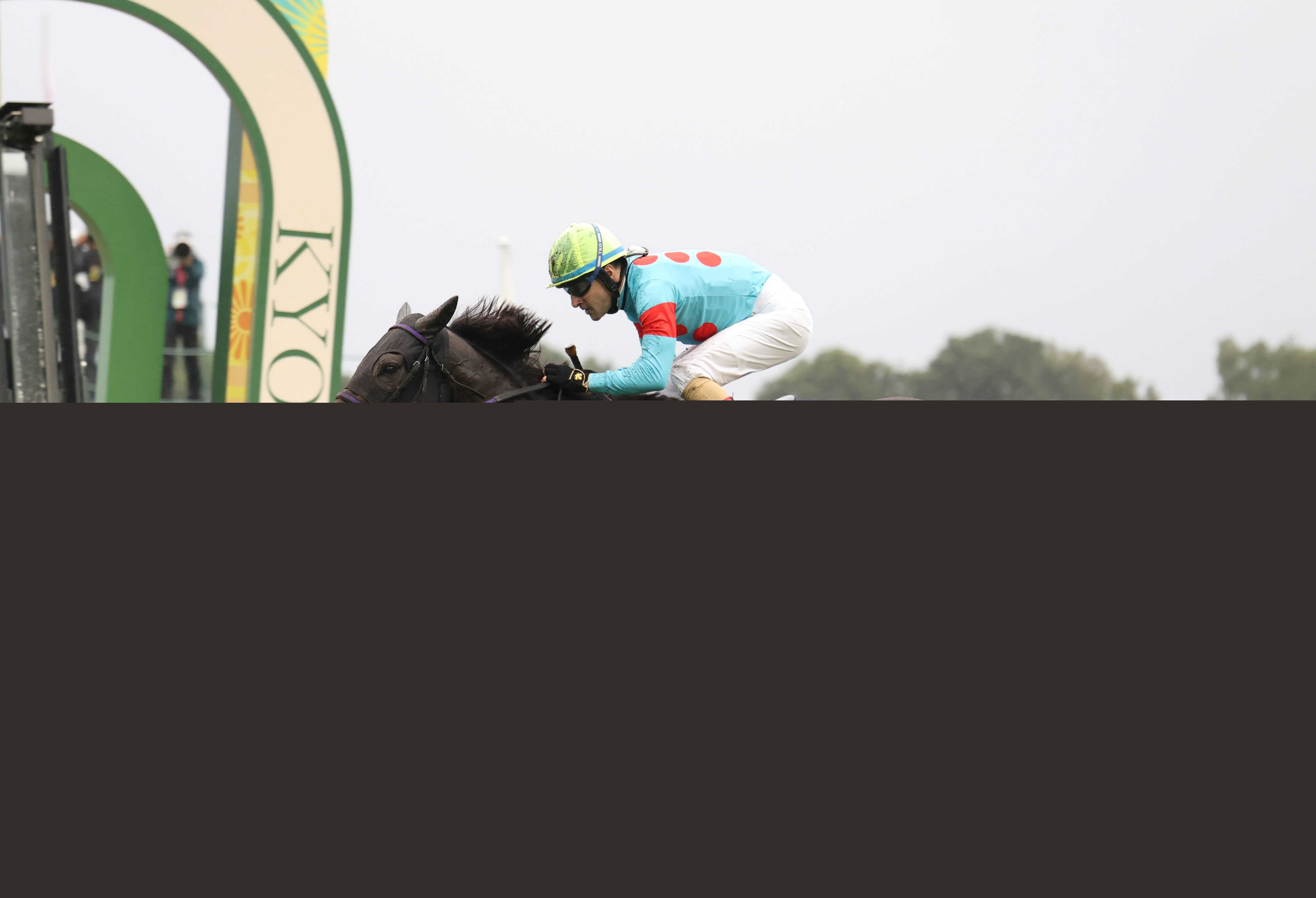 菊花賞を制したエネルジコが屈腱炎　全治９カ月以上の診断