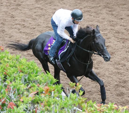 【香港国際競走】3年ぶり勝利だ!　日本調教馬のべ78頭が予備登録　クロワデュノール、ジャンタルマンタル、サトノレーヴなど