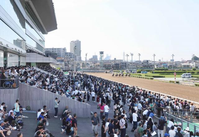 【浦和競馬】出走予定だったJRA所属馬が馬の取り違えで競走除外に