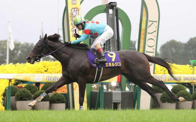 菊花賞制したエネルジコが左前浅屈腱炎　全治9カ月以上の診断