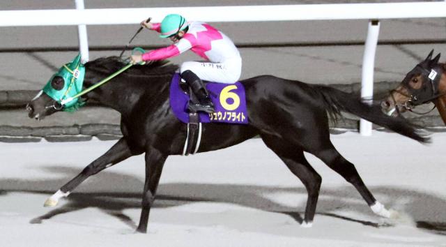 【エーデルワイス賞】JRA勢撃破!　北海道のリュウノフライトがデビュー4連勝でダートグレード初制覇