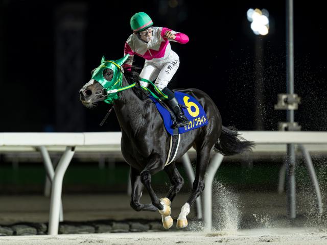 【門別・エーデルワイス賞結果】ホッカイドウ競馬のリュウノフライトが無傷4連勝でDG初制覇