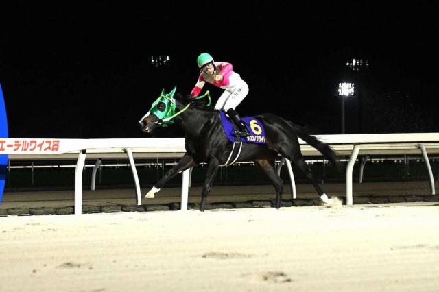 【門別競馬　エーデルワイス賞】リュウノフライト　早め先頭で押し切り無傷の4連勝