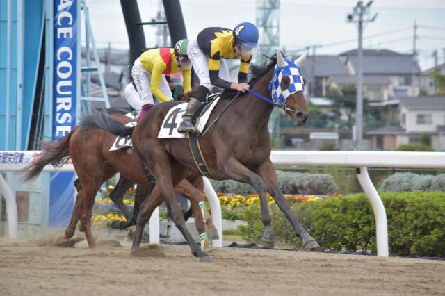 ϥۥ롼420ξΤ̵¤βǽ