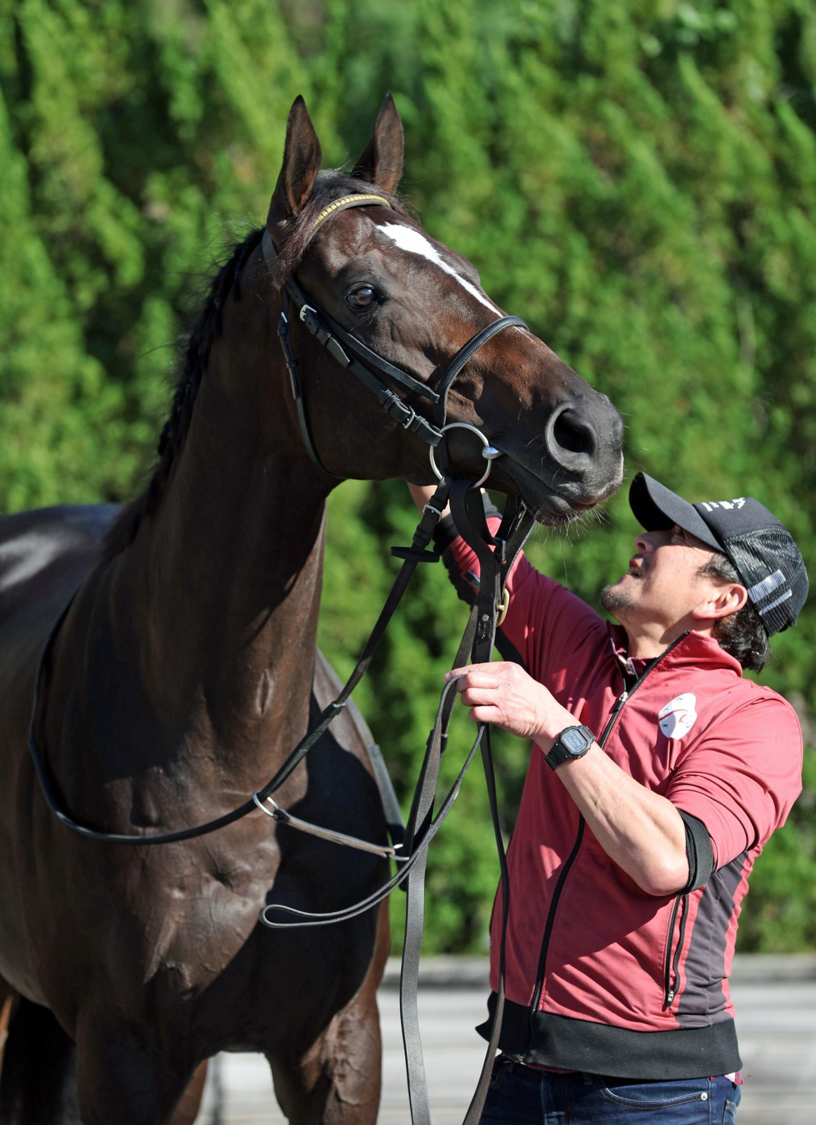 ŷľޡۥ󥺥糰ȤˤرšͿ줿ȤϤԤס夭