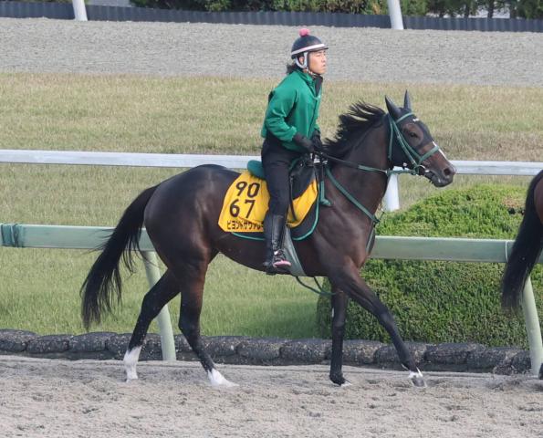 JBCǥ饷åۥӥɥ졼ԡλž夬ꡡɩĵ֥󥹤ϤʤΤǤʤ