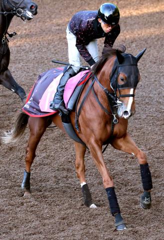 ڥե󥿥SCǥࡼ굳ΥեƥХҥ22֡˭굳Υᥤ祦ϥå67