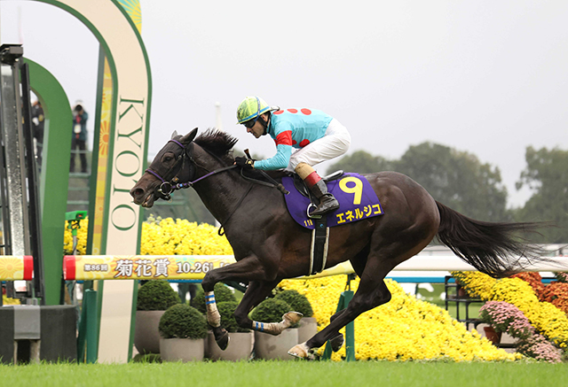 Ʋ־ƤΥͥ른秱ȯɡʾȿ