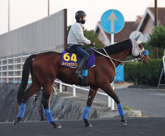 ŷľޡ˭G1Ϣᥤ祦ХνϤȶ͢жĴաϤ˭Ǥ뤷ʤ͡