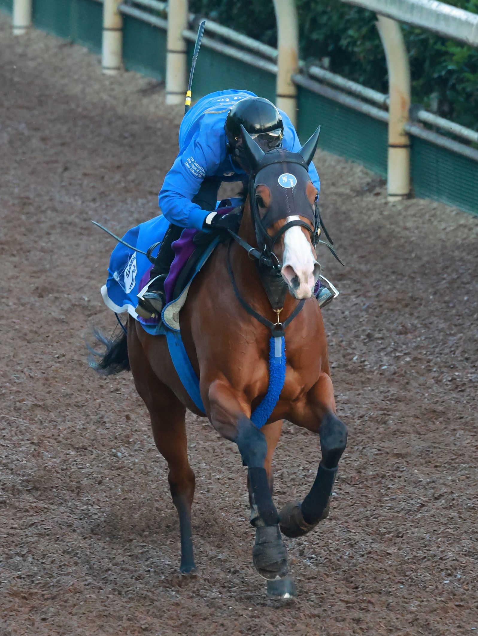 ϡۣʣ£åץȡޥޥ㿭ӿӡ礦麽ǿڤ곫ӹդž夬Ǽ