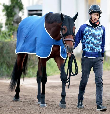 【天皇賞・秋】昨年の3着馬ホウオウビスケッツは坂路で力強い動き　陣営「調子は一番いい」