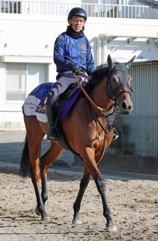 【天皇賞・秋】ブレイディーヴェーグは復活Vへ雰囲気よし　宮田調教師「今朝も気持ちよく走っていました」