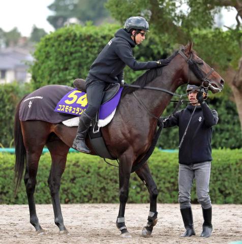 【天皇賞・秋】コスモキュランダは状態文句なし　加藤士調教師「ここまでピリッとしているのは初めて」