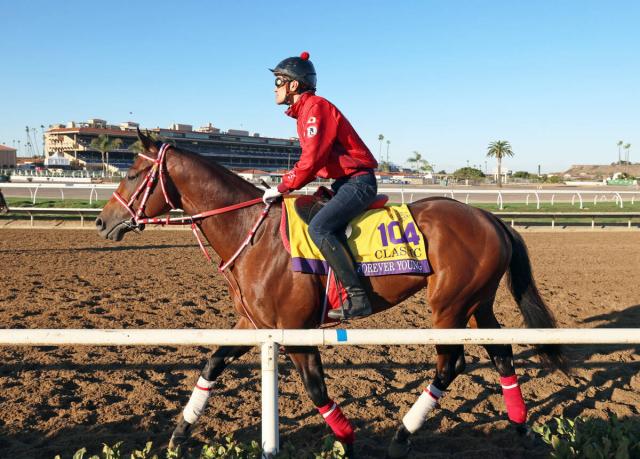 BC出走のフォーエバーヤングとデットーリ騎手騎乗のアルジーヌは順調に調整　中内田調教師「あとは当日無事に」