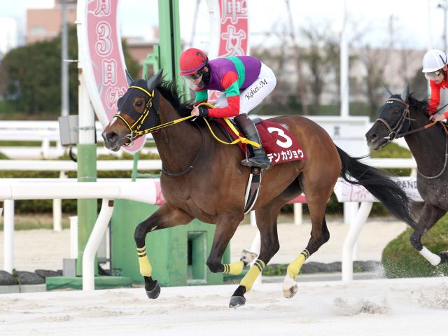 【船橋・JBCレディスC枠順】JpnI初制覇狙うテンカジョウは2枠2番、地元の期待馬プラウドフレールは4枠6番
