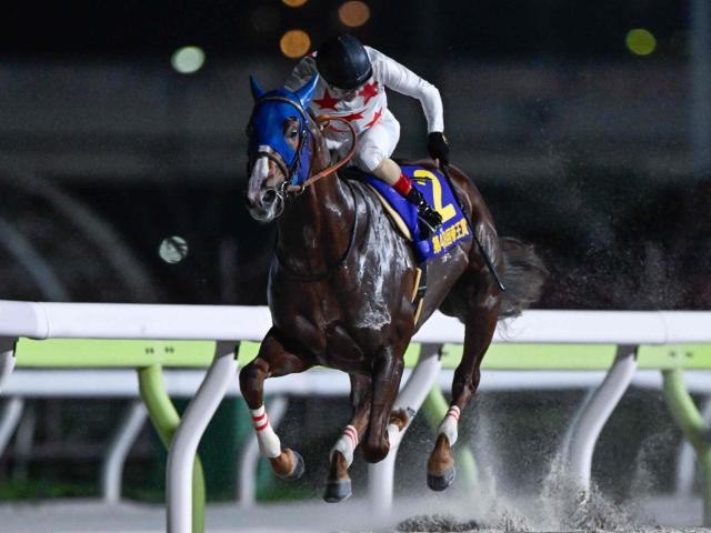 【船橋・JBCクラシック枠順】帝王賞覇者ミッキーファイトは8枠13番、南部杯を制したウィルソンテソーロは6枠9番