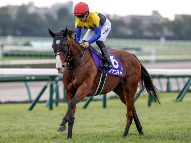 【船橋・JBCスプリント枠順】GI馬ママコチャは8枠13番、600kg超えの大型馬ドンフランキーは4枠5番