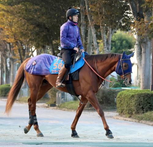 【JBCクラシック】ルメール騎手のミッキーファイトは8枠13番　連覇を目指すウィルソンテソーロは6枠9番　枠順確定