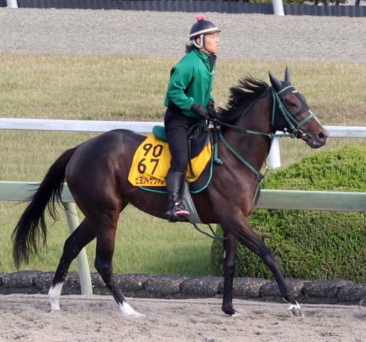 【JBCレディスC】前哨戦Vのビヨンドザヴァレーは5枠7番　武豊騎手騎乗のオーサムリザルトは6枠9番　枠順確定