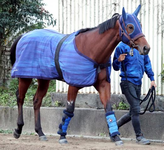 今週デビューの2歳馬イトシサ　往年のヒット曲通りに3頭スタンバイでネット反応「流石に一緒にデビューとは」