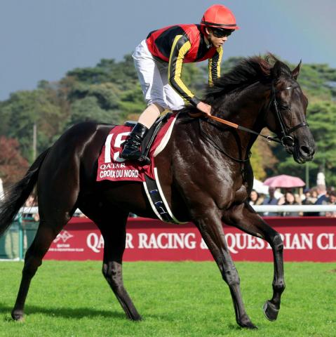 【注目馬動向】クロワデュノールは年内もう1走　出否は未定も香港カップ、香港ヴァーズに予備登録済ませる