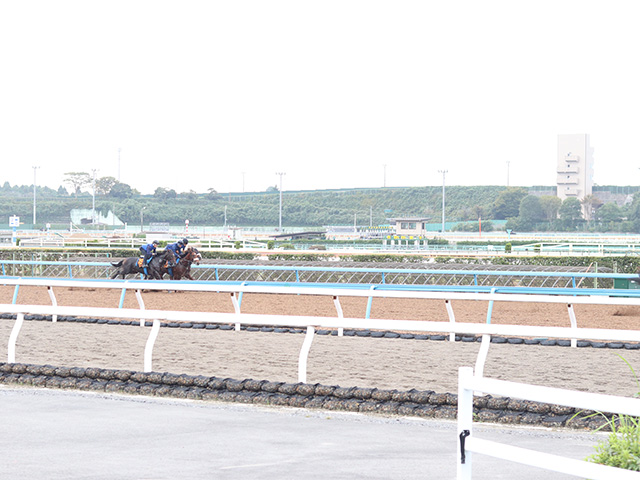 ふるさと納税で騎手との交流やトレセン見学！ 美浦村が11月26日に村内ツアーを開催